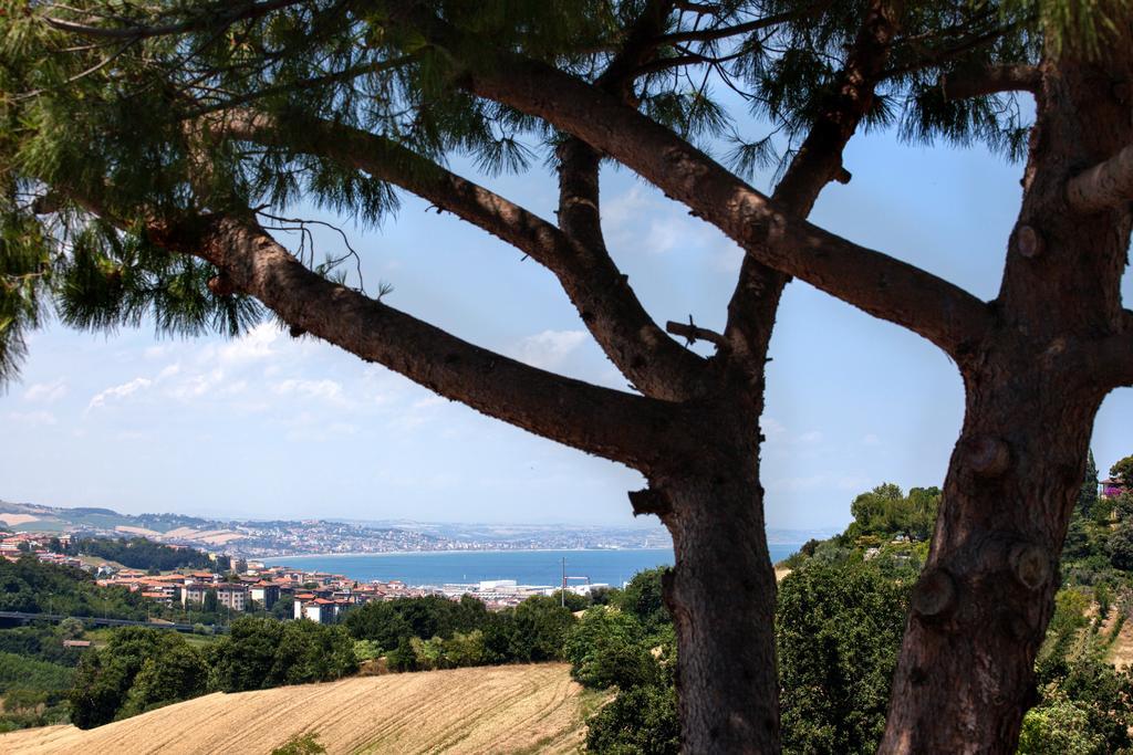 Agroturismo Fiori Del Conero Ancona
